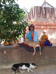 Hanging out - with two dog-friends at the Mahabodhi Stupa